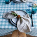 Tafelkleed Bourdon Canvas Mimi Vichy - Vichy Aqua & Bourdon Noir 145x300cm Maison de Vacances - FOODIES IN HEELS
