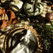 Dinerbord Smooth olive 28cm Nosse - FOODIES IN HEELS