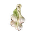 Knoflook Hanger 23x13cm - Overige - Piccobella