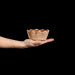 Kom Oyster mini 13cm cinnamon - Kommen - Mateus