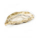 Oesterschaal Ostrica naturel 18x9cm - Schalen - Piccobella