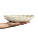 Schaal Oyster 24cm sand - Schalen - Mateus