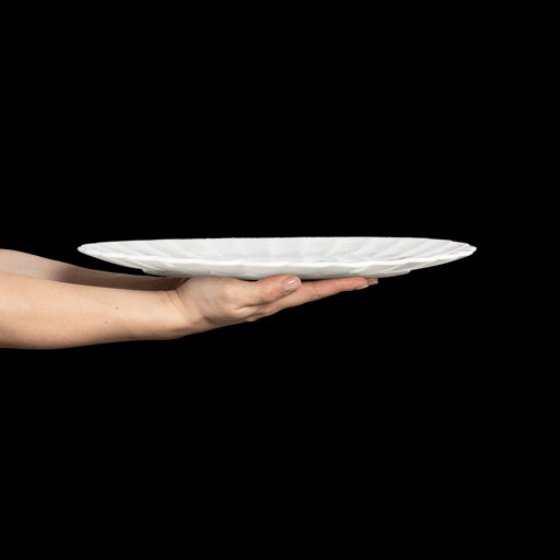Schaal Oyster 35cm white - Schalen - Mateus