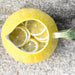 Dekanter Zitrone 2.25L Byon - FOODIES IN HEELS