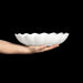 Schale Oyster 31cm weiß - Schalen - Mateus