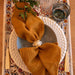 Wassergläser Lima grün (2er Set) - Wassergläser - XLBoom
