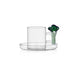 Coffee cup and saucer Broccoli - cups - Ichendorf Milano