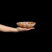 Bowl Oyster 18cm cinnamon Mateus - FOODIES IN HEELS